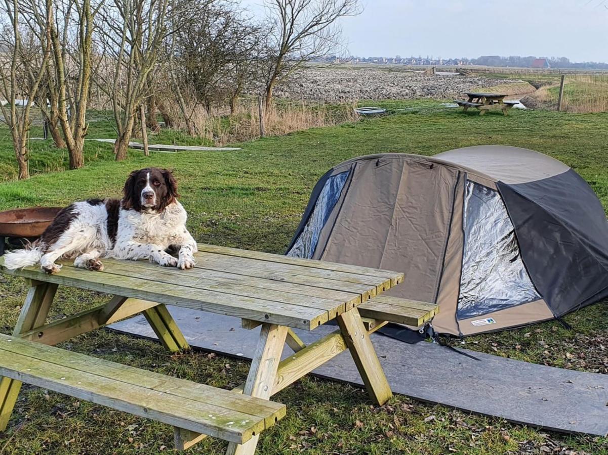Basic 2P Tent Sotterum Kornwerd Exterior foto