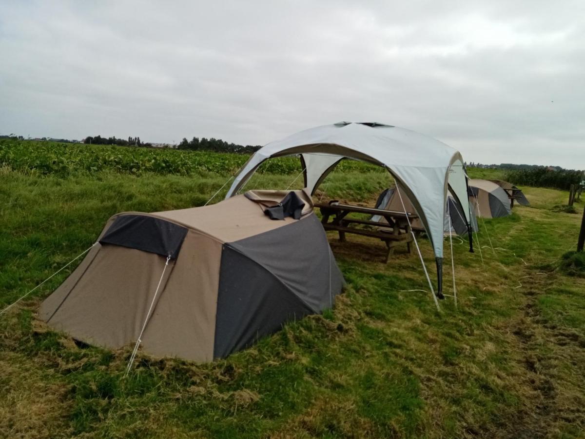 Basic 2P Tent Sotterum Kornwerd Exterior foto